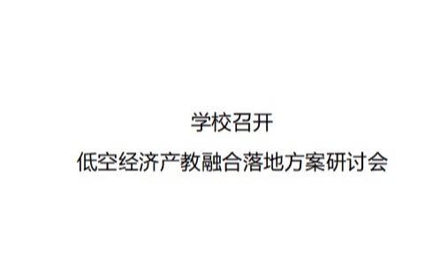 学校召开低空经济产教融合落地方案研讨会